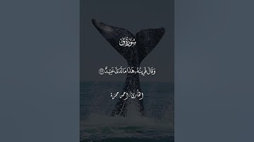 بسم الله ما شاء الله اللهم مبارك تلاوة الاخ احمد حمزة اخويا ♥
