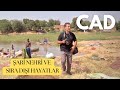 Şari nehri ve sıra dışı hayatlar! (YENİ BÖLÜM) / Shari River and extraordinary lives!