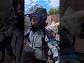 You riders will know all about this kind of perfect storm - dogs attack motorcyclist.