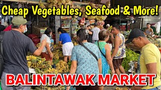 BALINTAWAK MARKET 2023 Palengke Tour | Cheap Vegetables, Seafood, Fruits & More in Metro Manila