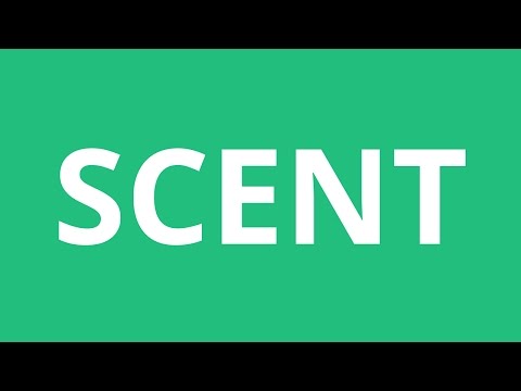 How To Pronounce Scent - Pronunciation Academy