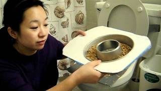 DYI Cat Toilet Training Kit
