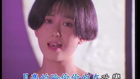 孟庭苇 - 你看你看月亮的脸 (1991 原版) / Ting-Wei Meng - Look, the Face of the Moon (1991 Originial)