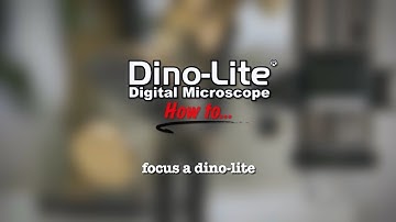 How to Focus a Dino-Lite digital microscope