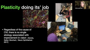 The CVI Range Approach Explained | Dr. Christine Roman-Lantzy | PCVIS