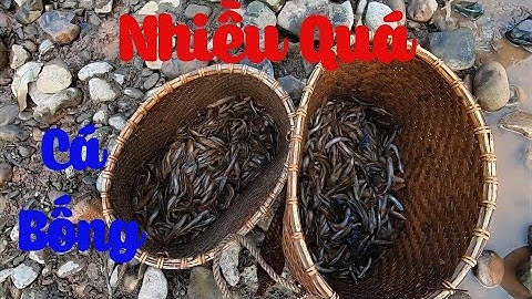 Bắt Cá Bống Suối Tập 2 ✓ Poòng Văn Quỳnh