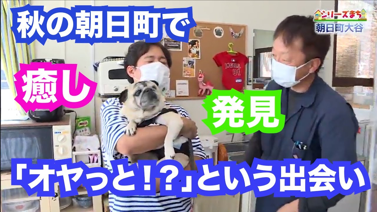 ピヨ卵ワイド「シリーズまち」朝日町大谷編