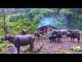 Nepal Mountain Village Life🇳🇵||Ep-117 ||Daily Village People life ||Villagelifenepal ||Rural Life