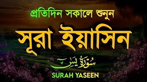 প্রতিদিন সকালে শুনুন সূরা ইয়াছিন سوره يسن Surah Yaseen  Quran Tilawat 