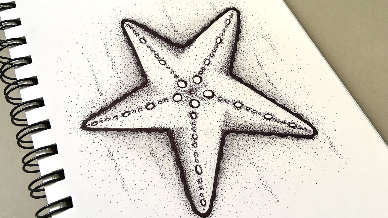 Starfish and seashells line art sketch Royalty Free Vector