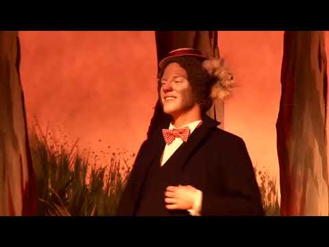 A clip from The Magic Pudding Opera (2014)