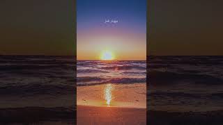 Download Lagu Lirik Lagu Senja Teduh Pelita #viral #trending #aesthetic #trendingshorts #galau #sunset #senja #fyp MP3 Download Lagu Lirik Lagu Senja Teduh Pelita #viral #trending #aesthetic #trendingshorts #galau #sunset #senja #fyp MP3