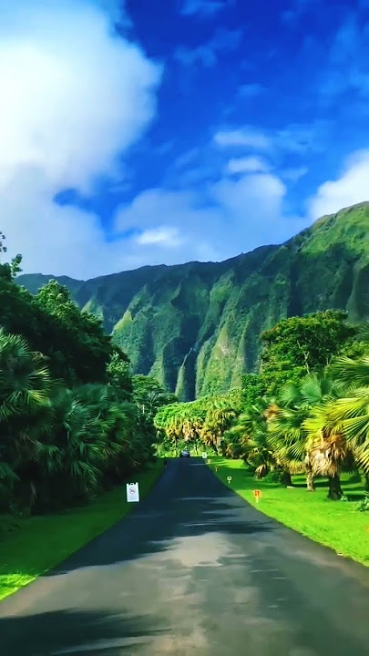 root must must 🥰💞 beautiful nature natural ringtone music 🎶💕