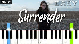 Birdy - Surrender | EASY Piano Tutorial