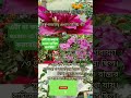 #SLST INTERVIEW #comparative #psc #naturelovers #tranding video