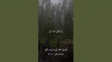 سورة إبراهيم - ٤٠-٤١ للقارئ الشيخ محمد أيوب