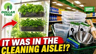 12 Dollar Tree Garden Hacks You ll Wish You Knew Before Winter