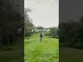 Day 8 : No need for a GYM in nature #fitness #fitgorv