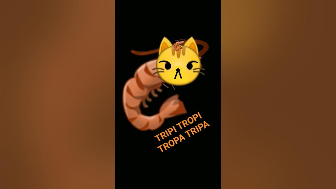 TRIPI TROPI TROPA TRIPA#fyp#funny#anomali #funk #memes #cat