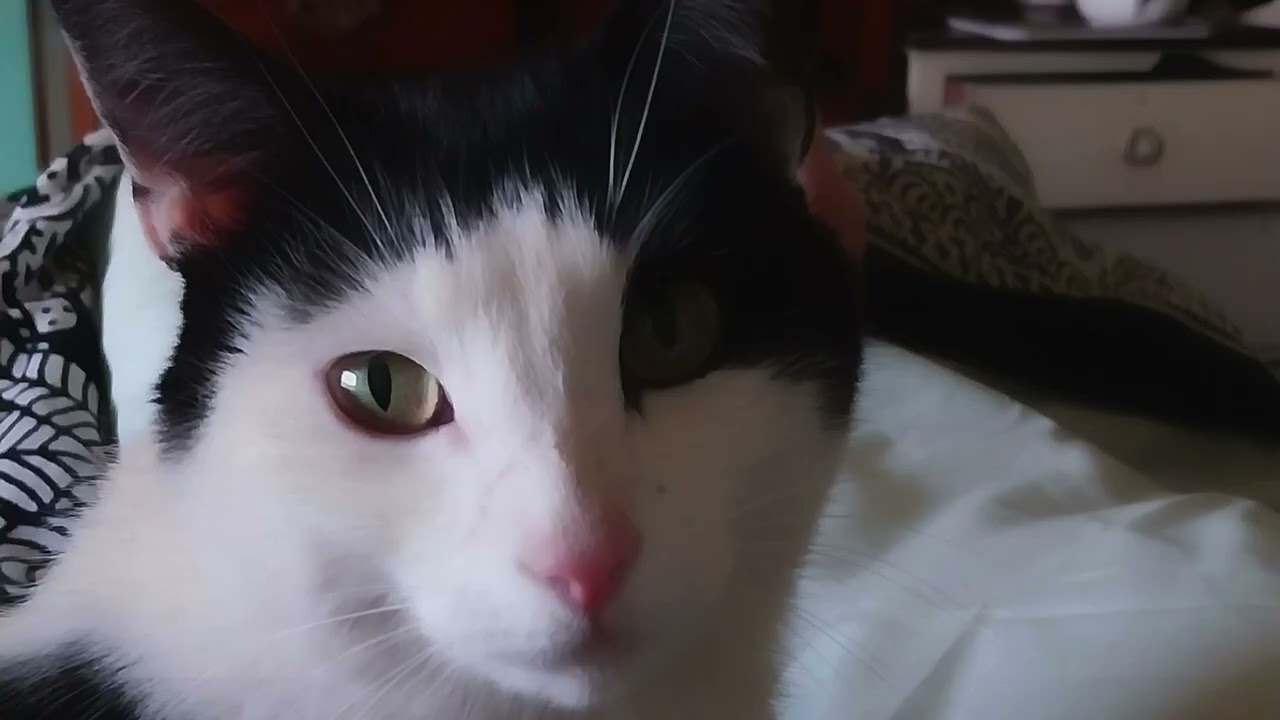 Lightworker Message: Staying in the Heart Through Grief, Shock & Collective Awakening