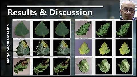 FYP Tan Soo Xian  171020953 Plant Diseases Classification using Machine Learning