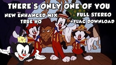 Animaniacs There