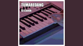 Video thumbnail of "DJ Cantik - Tumaredang"