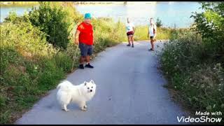 Cantabria Infinita ¨La película¨ Por la Peña de Fondo