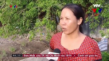 Cà Mau nỗ lực bảo vệ rừng phòng hộ