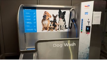 Walking by a dog wash machine Netherlands • 4K ASMR