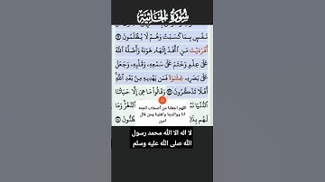 سورة الجاثية الاية 22-23 فارس عباد