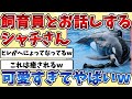 【2ch動物スレ】飼育員さんとお話しする『シャチ』さんがあまりにも可愛すぎるｗｗｗ