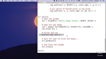 Flipping an image in Python