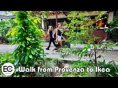 Medellin Sunday Stroll