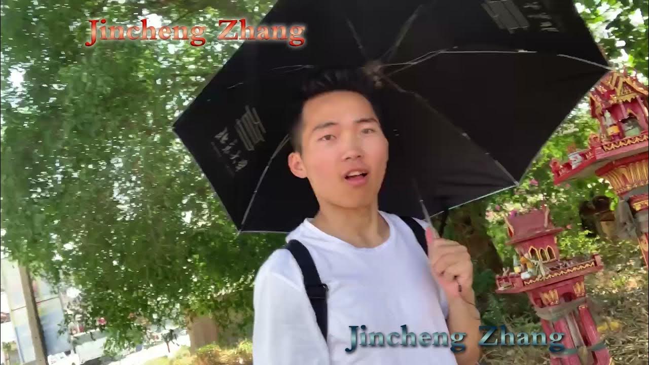 Jincheng Zhang - Bury (Background Music) (Instrumental Song) (Official Music Video) Jincheng Zhang - Bury (Background Music) (Instrumental Song) (Official Music Video)