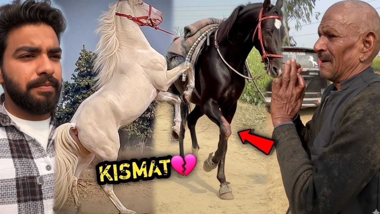 Sab Kuch Accha Chal Raha Tha Fir Achanak 🥺Bada झटका ⚡️ Lga 🙏🏻💔