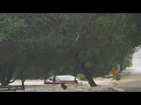 Video: Evacuee Banjir Di Carolina Selatan Menghentikan Semua Untuk Menyelamatkan Anjing Yang Telah Dihentikan Untuk Mati