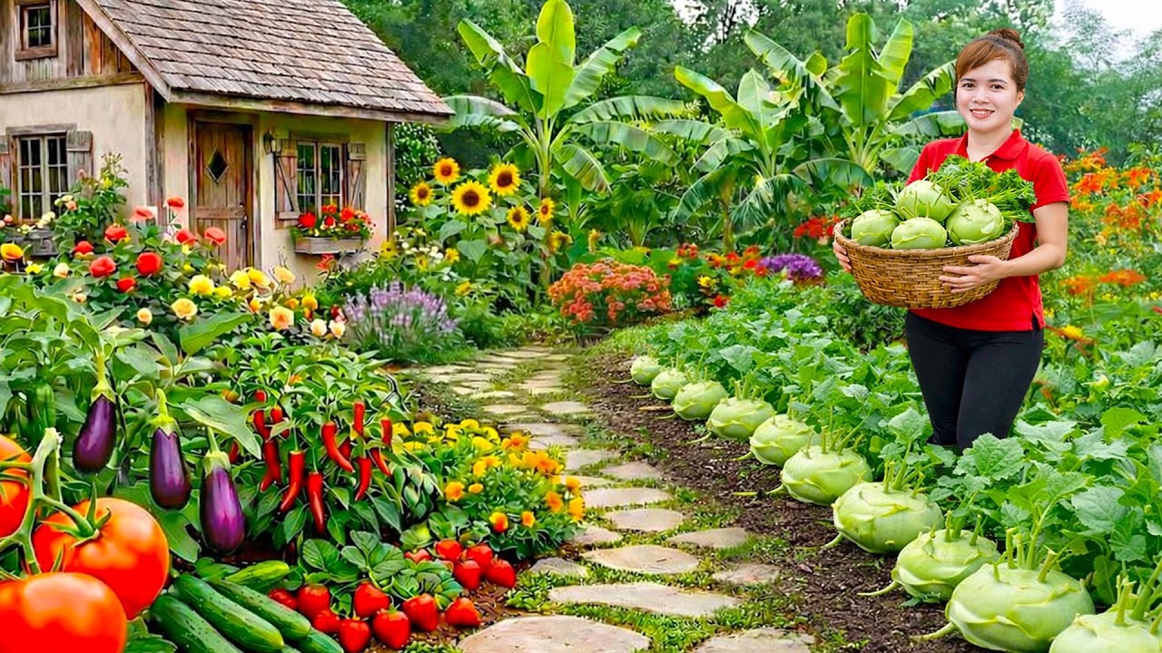 Full Video : 3 Days Harvesting Kohlrabi and Eggs From Home-Raised Chickens Goes To Market Sell