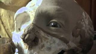 Unit 4 World English intro uncovering the past ITP
