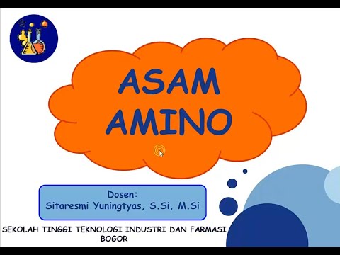 STRUKTUR DAN FUNGSI ASAM AMINO