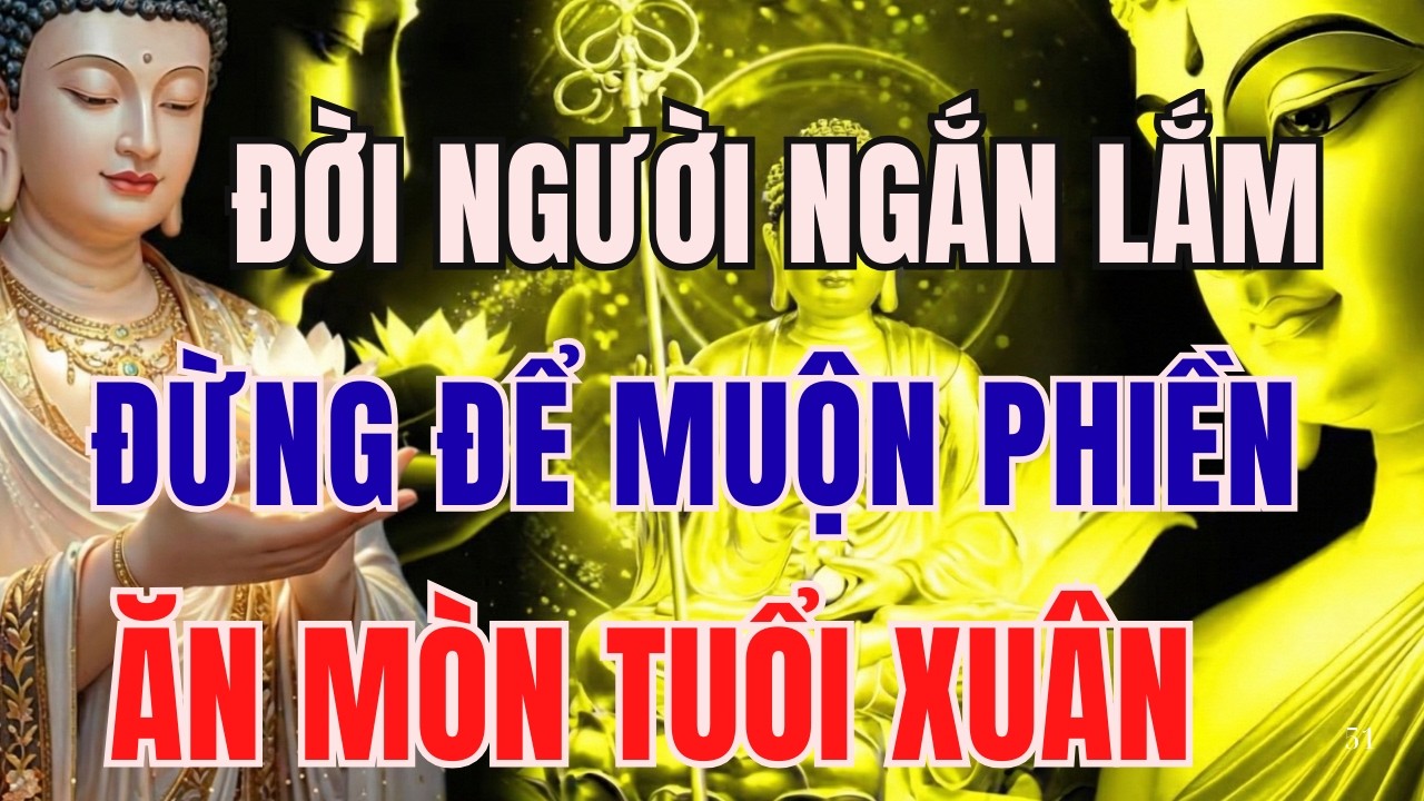 NIỆM PHẬT NGỦ NGON: ĐỜI NGƯỜI NGẮN LẮM, ĐỪNG ĐỂ MUỘN PHIỀN ĂN MÒN TUỔI XUÂN | LỜI VÀNG CHÁNH PHÁP
