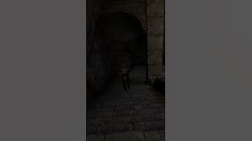 The shield bash heard around the world #shorts