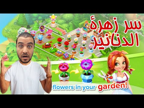 فيديو: لا يمكن الحصول على زهور الرياح الأرجواني؟