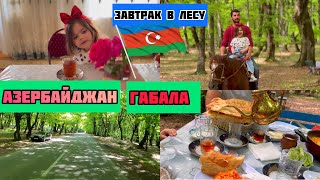 Азербайджан:завтрак в лесу /новый влог /Габала
