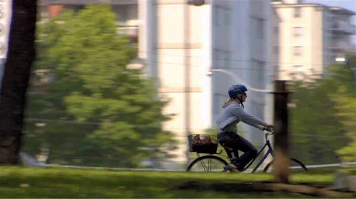 Air Quality And Your Health