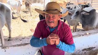 A Seca De 1982 No Nordeste