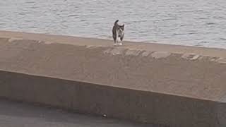 DSCN2775