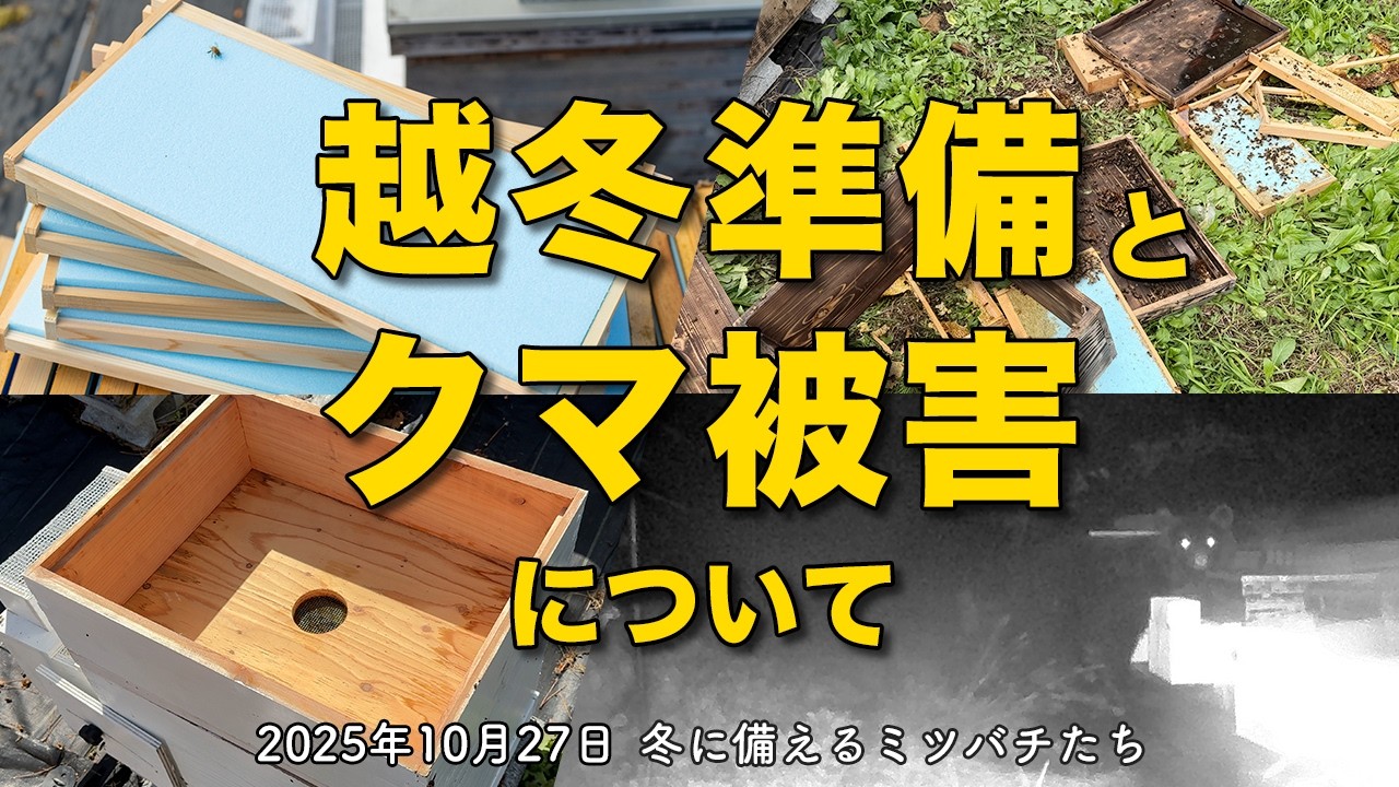 冬に備えるミツバチたち｜越冬準備とクマ被害について 養蜂／岩手県／東北
