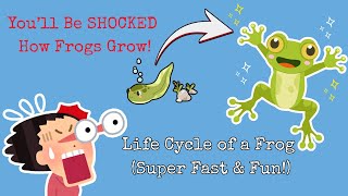 Life Cycle of a Frog EXPLAINED in 2 Minutes! 🐸 | You Won't Believe This Transformation!