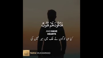 Surah Hajj | سورة الحج Tariq Mohammed | طارق محمد
